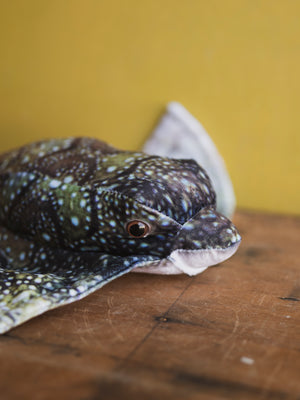 Plush Bat Ray, HD1281