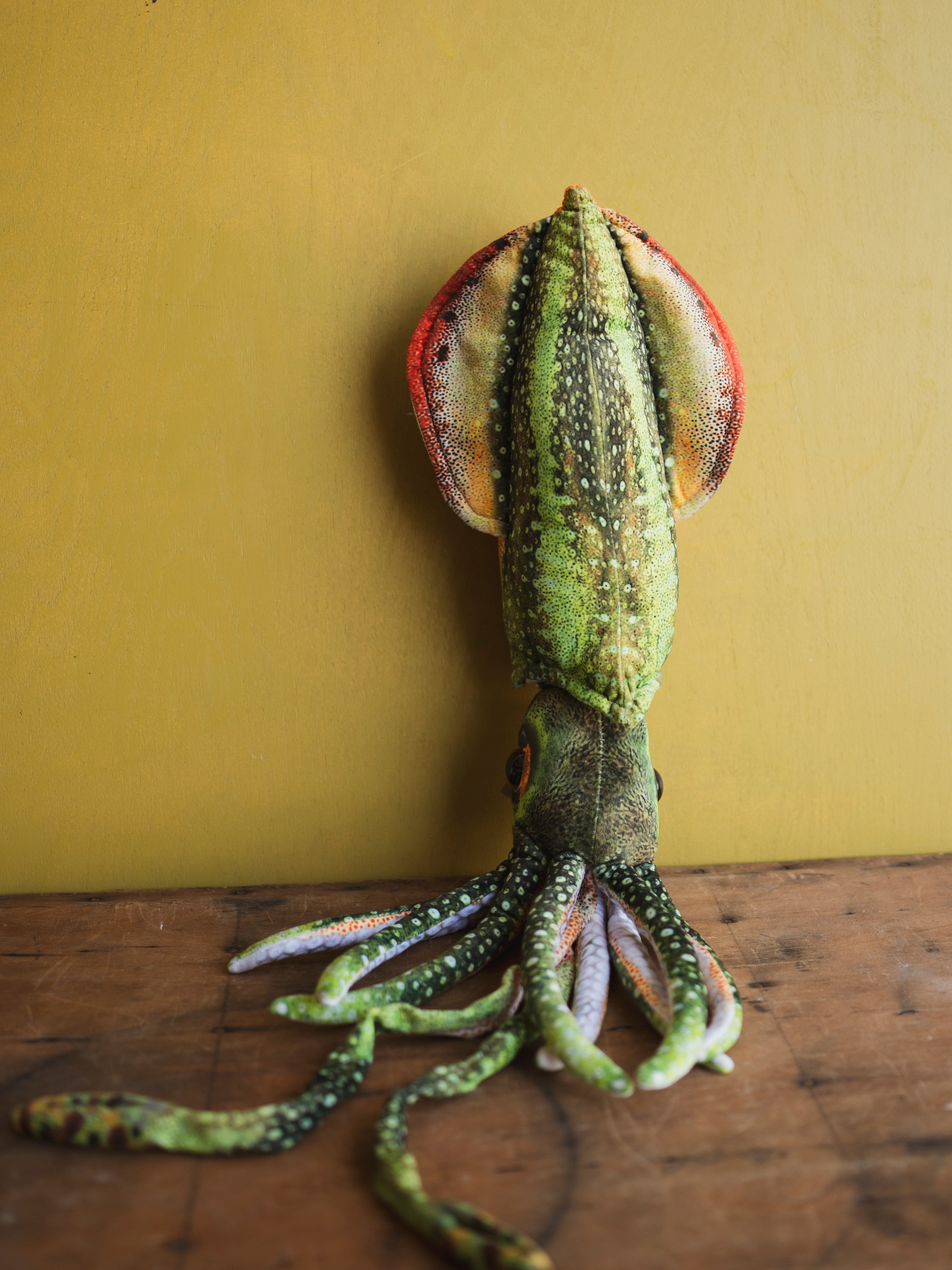 Plush Squid, HD1278