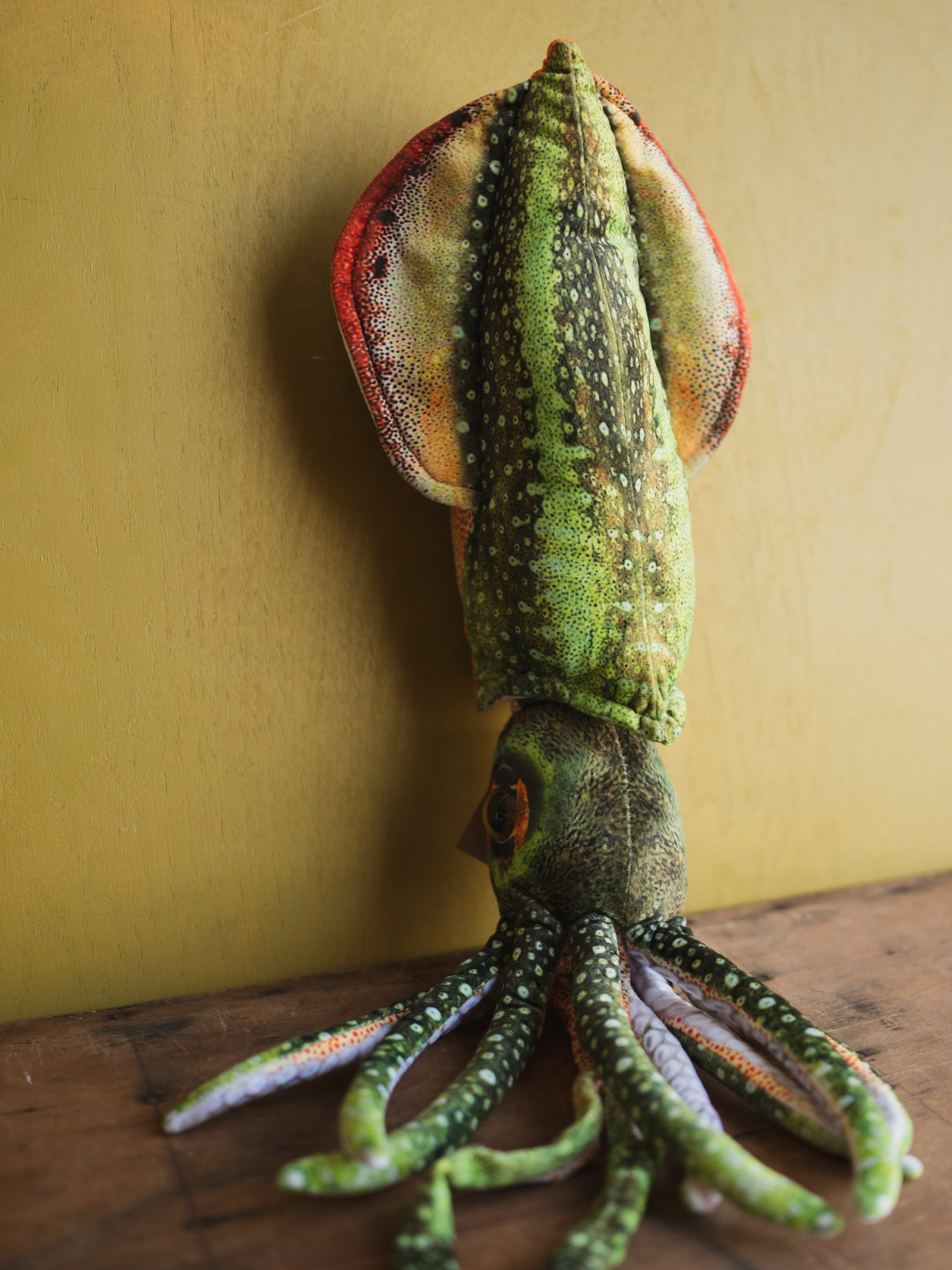 Plush Squid, HD1278