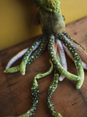 Plush Squid, HD1278