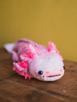 Plush Axolotl, HD1274