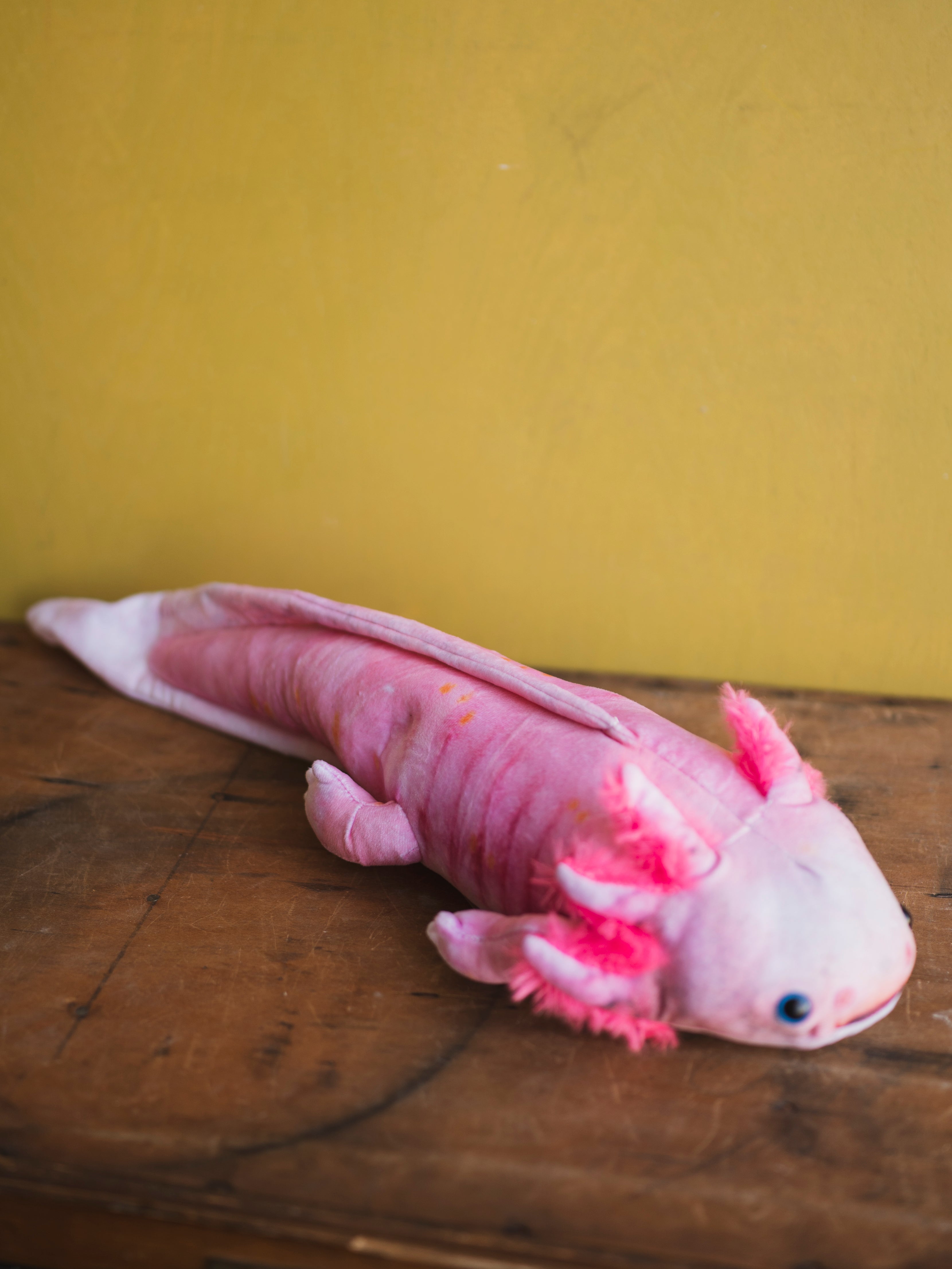 Plush Axolotl, HD1274