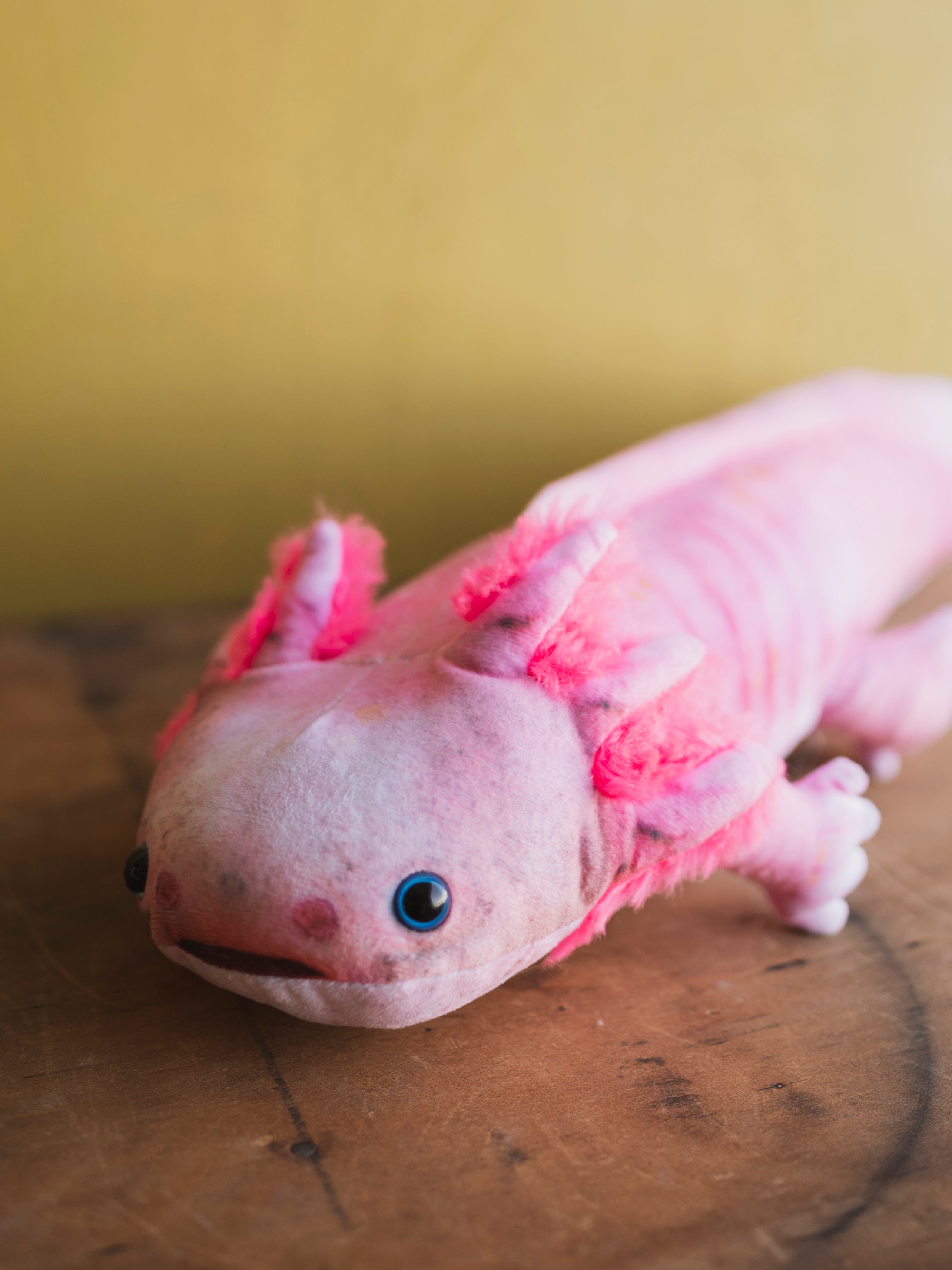 Plush Axolotl, HD1274