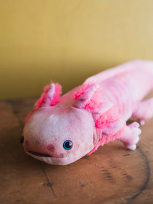 Plush Axolotl, HD1274