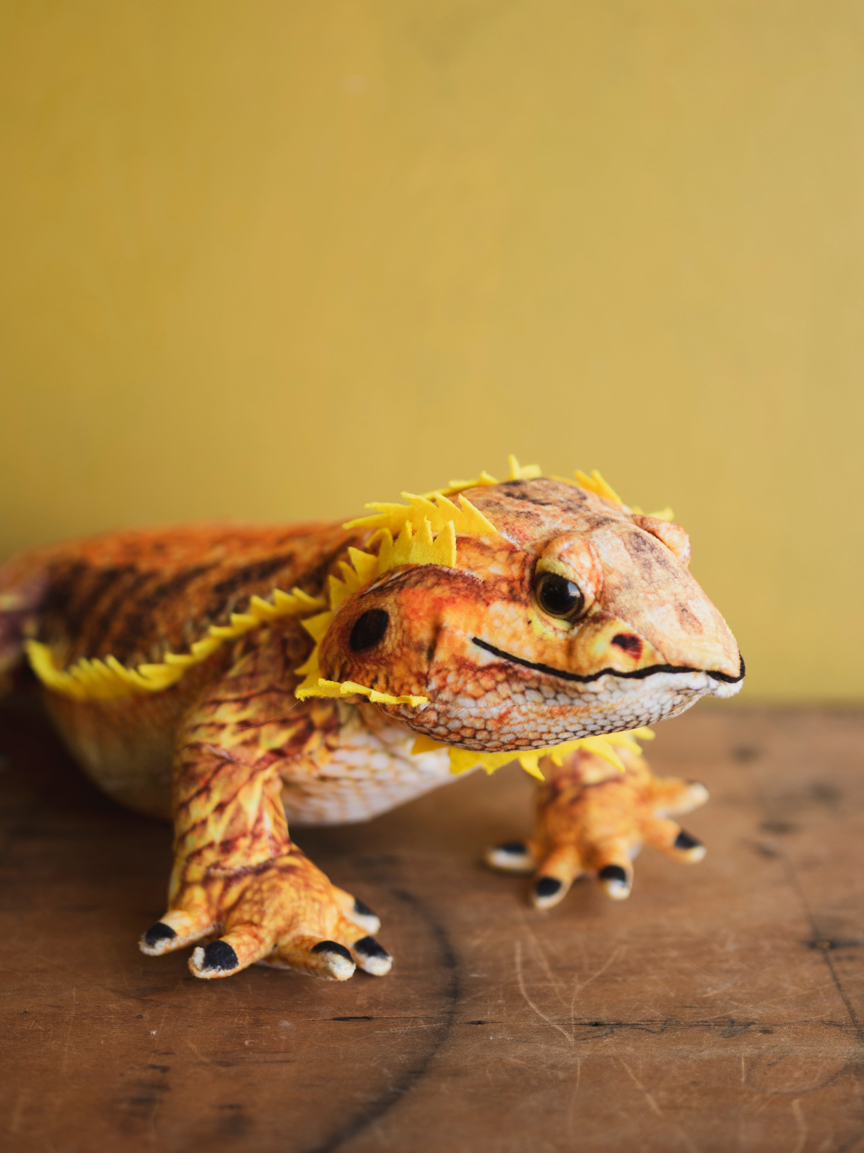 Plush Bearded Dragon, HD1271