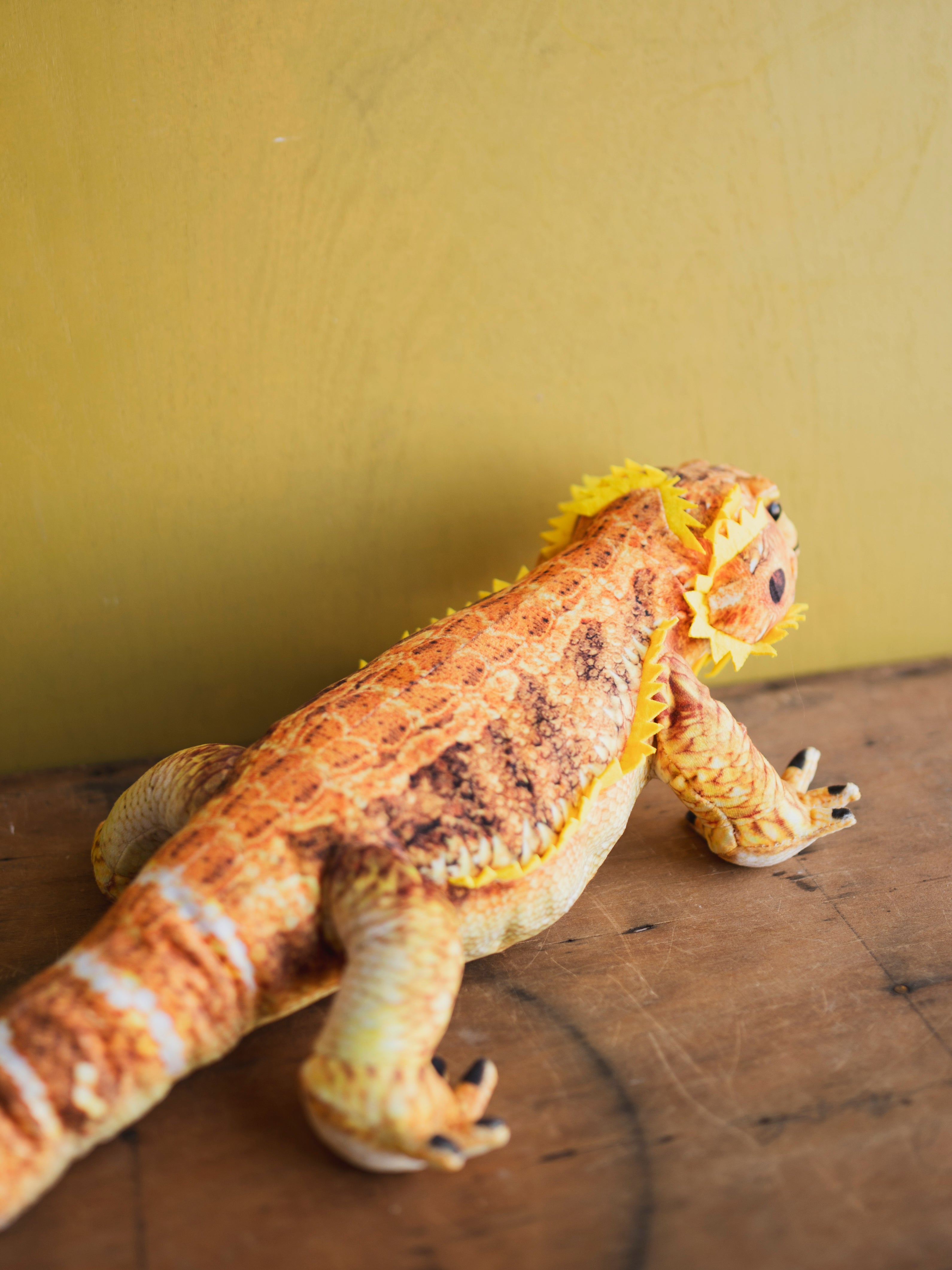 Plush Bearded Dragon, HD1271