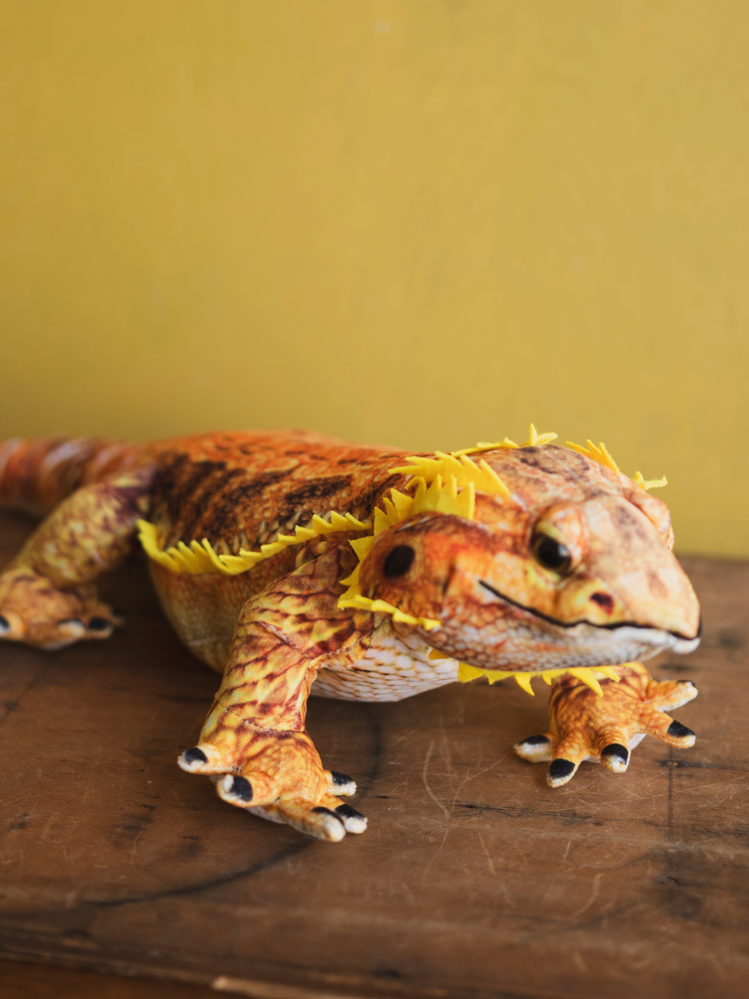 Plush Bearded Dragon, HD1271