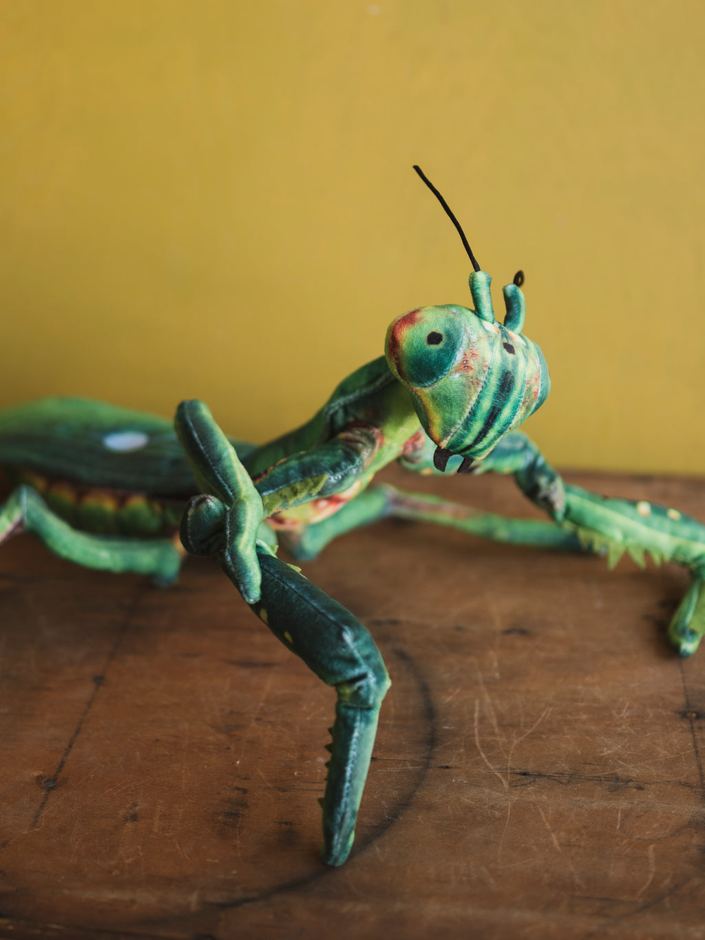Plush Praying Mantis ,HD1275