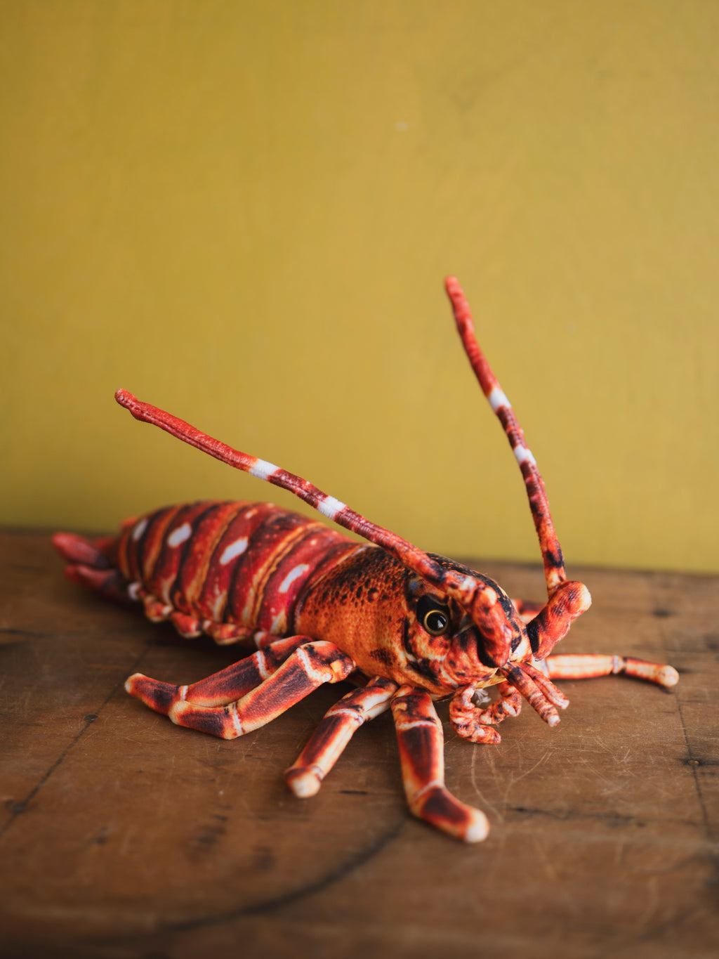 Plush Lobster, HD1280