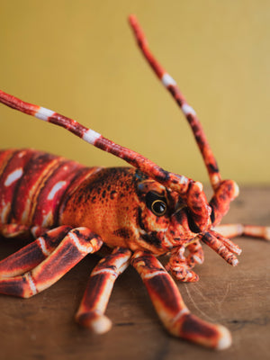 Plush Lobster, HD1280