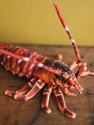 Plush Lobster, HD1280