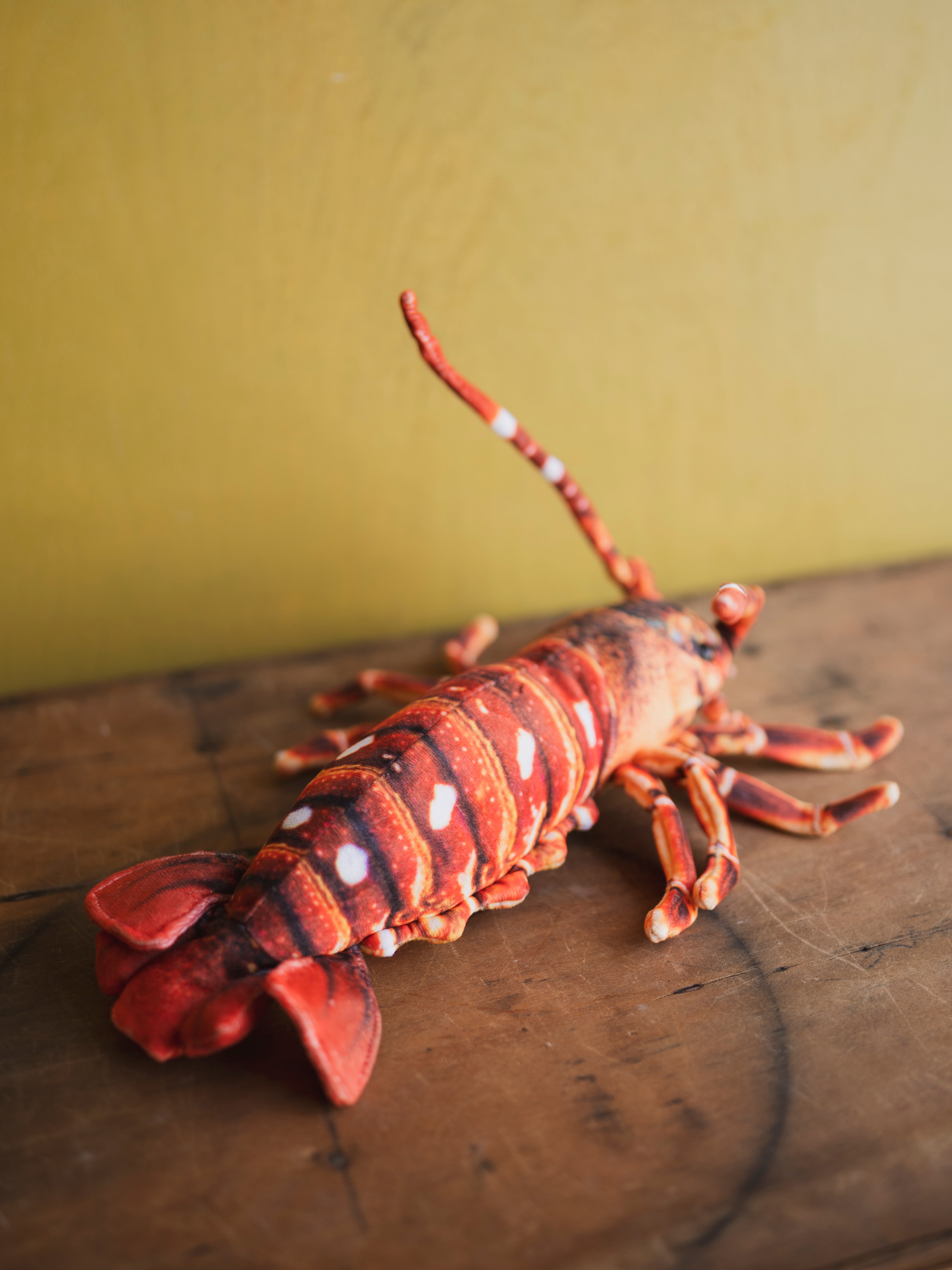 Plush Lobster, HD1280