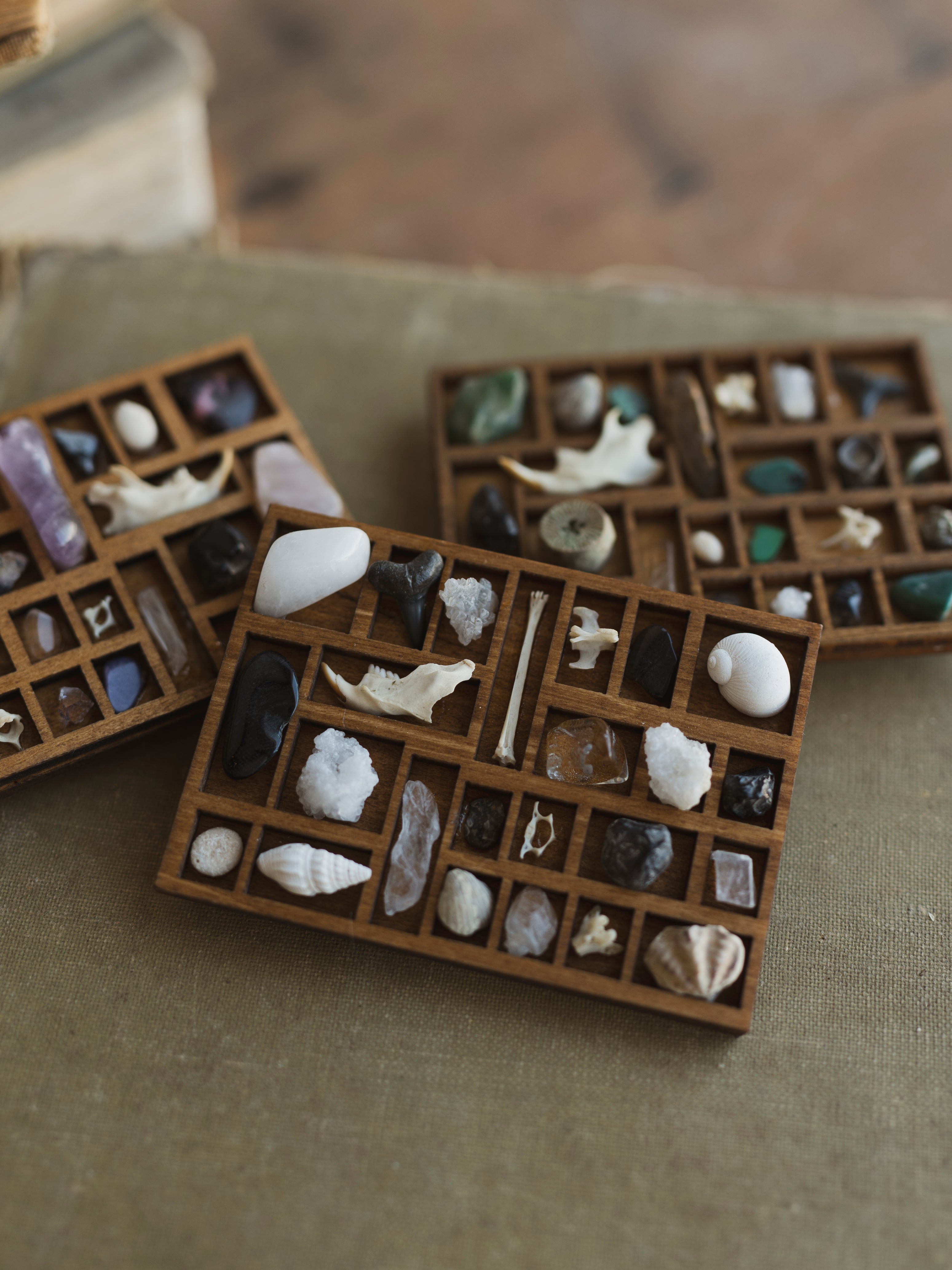 Mini Curio Shelf Magnet, HD1288