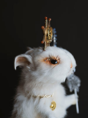 Sun and Moon Two Headed Rabbit/Bunny Taxidermy, TA5