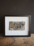 Framed 8.75” Fossilized Keichousaurus, RM392