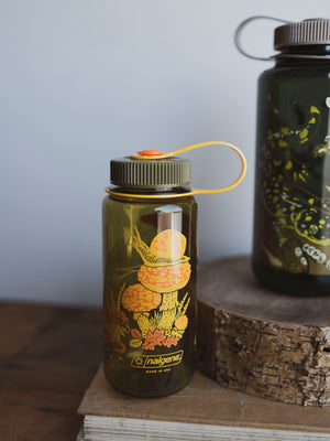 Toad & Mushroom 16oz Water Bottle, HD270