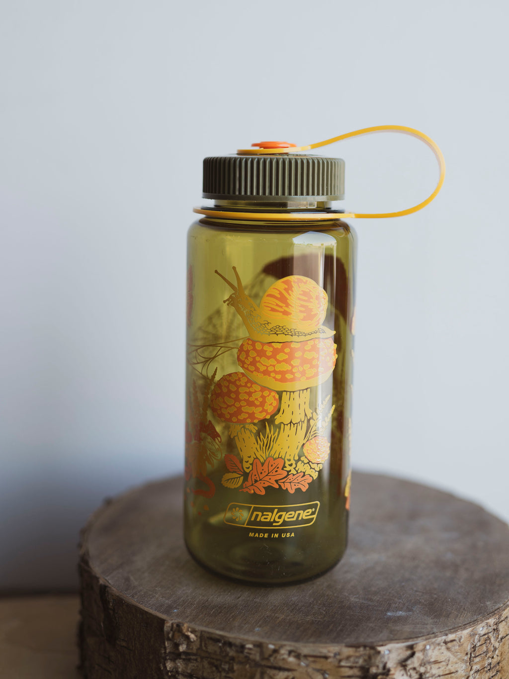 Toad & Mushroom 16oz Water Bottle, HD270