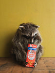Full Body Raccoon Cracker Jack Taxidermy (Ruth), TA371