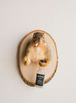Smoker Squirrel Taxidermy (Randy), TA352