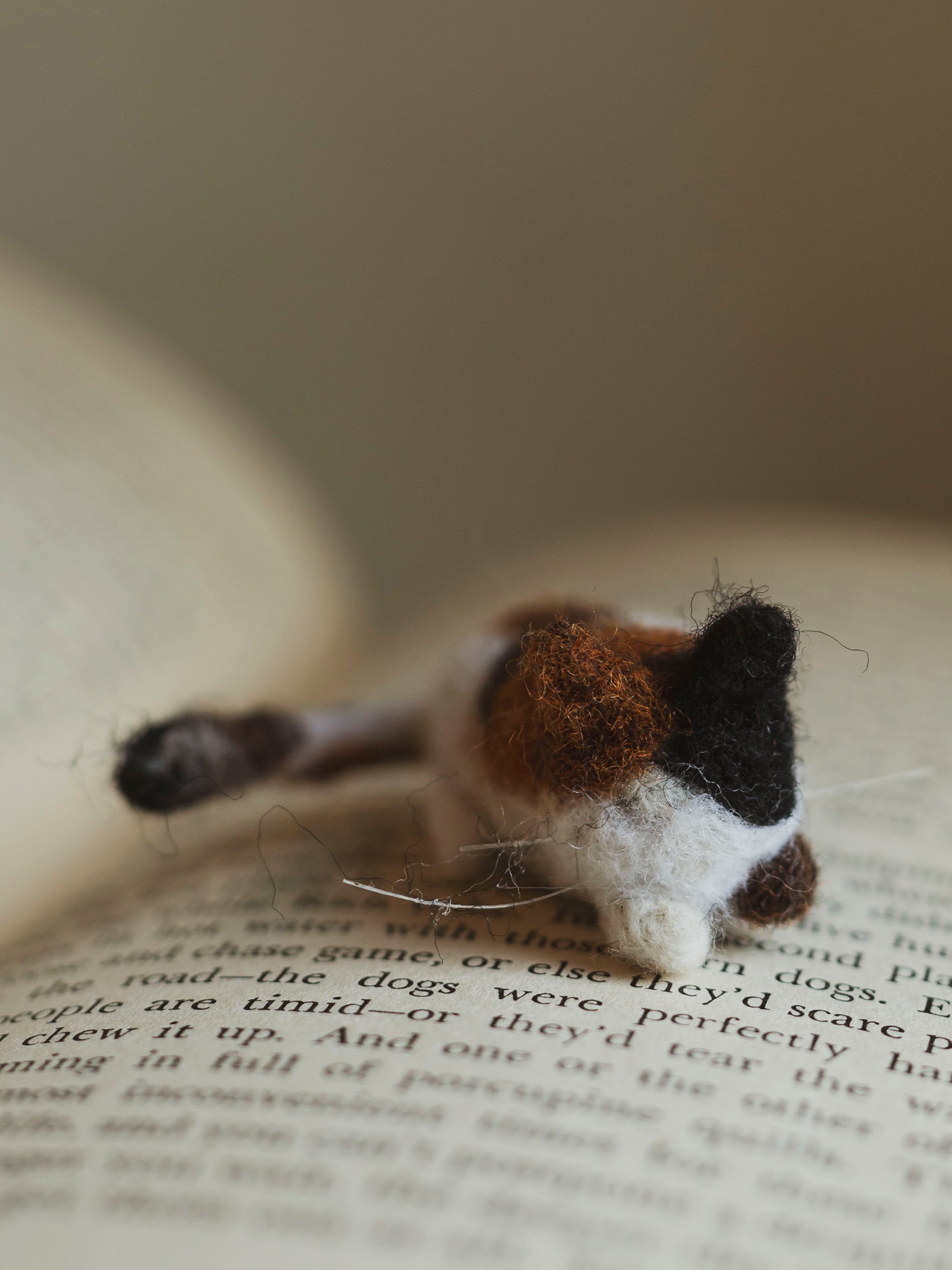 Hand Felted Tater Tot Cat, CO33