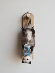Beer Drinking Opossum Taxidermy (Creed), TA278