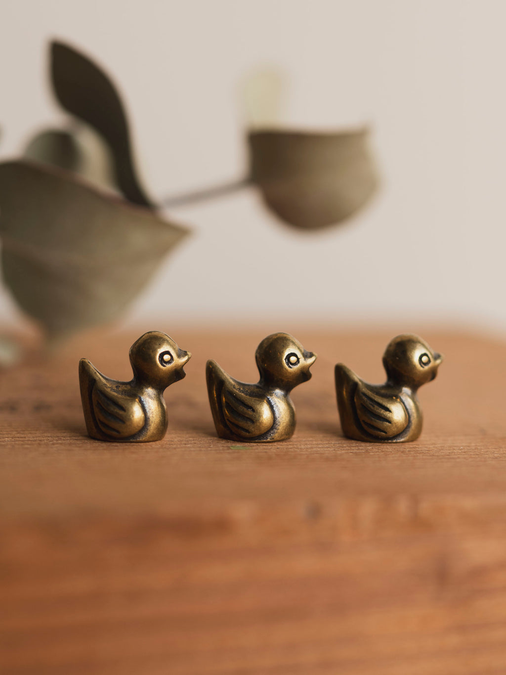 .5" Brass Duckling, HD129