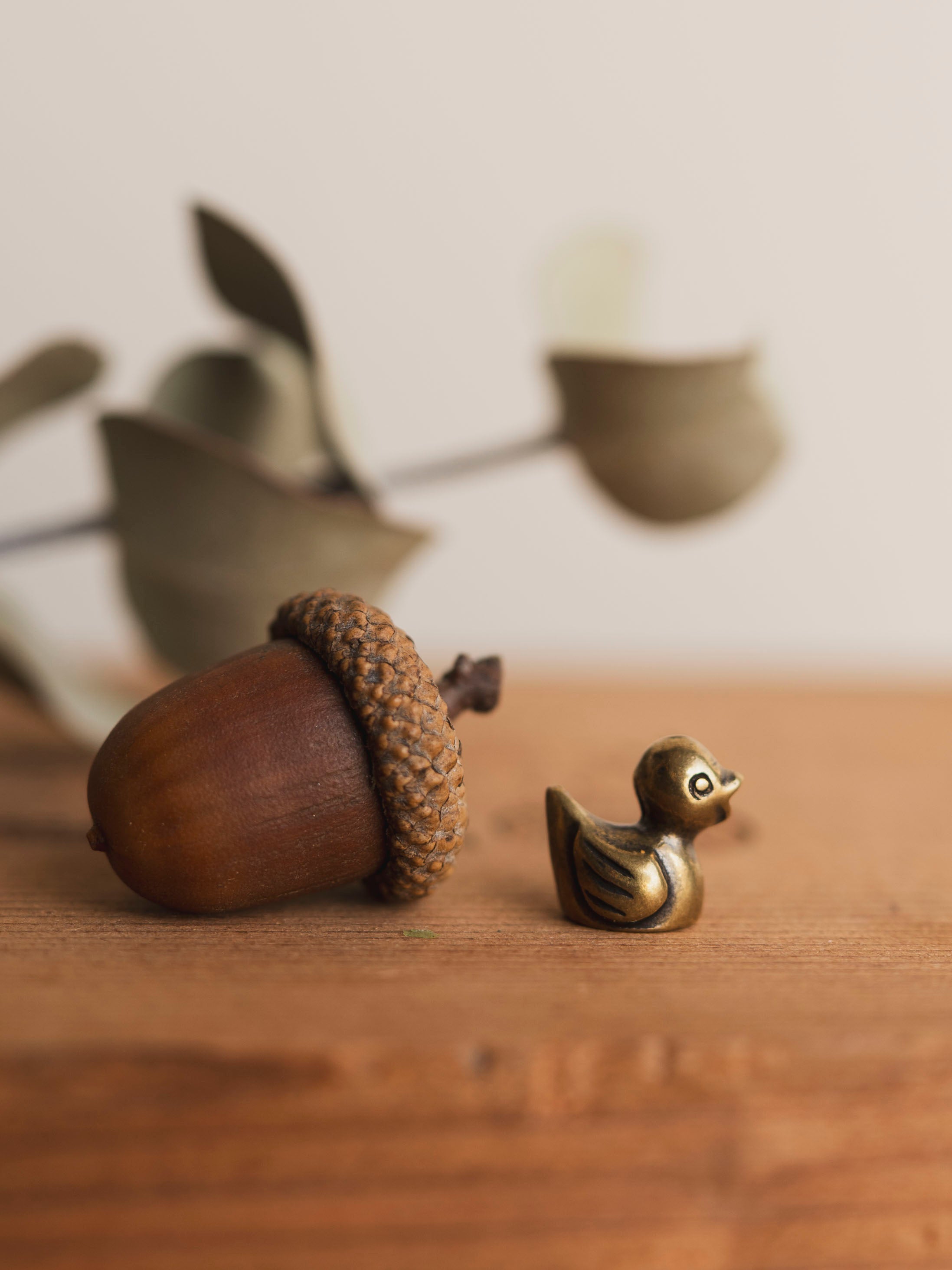 .5" Brass Duckling, HD129