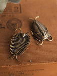 2" Brass Trilobite, HD132