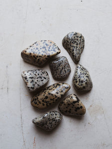 .5-1.5" Polished Dalmation Jasper Stone, RM1623