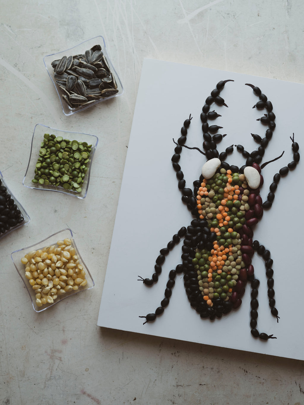 September 7th Don't Spill the Beans Kids Mosaic Class, CA907
