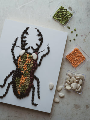 September 7th Don't Spill the Beans Kids Mosaic Class, CA907