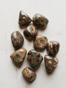 .75-1" Polished Green Leopard Skin Jasper, RM1637