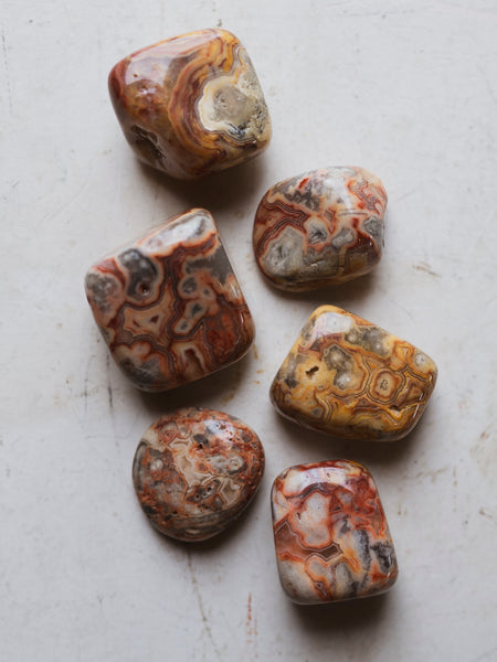 激レア！2012AW STONE  “OLD EFFECT” JKT Ledgestone_Bayport_1747741711_