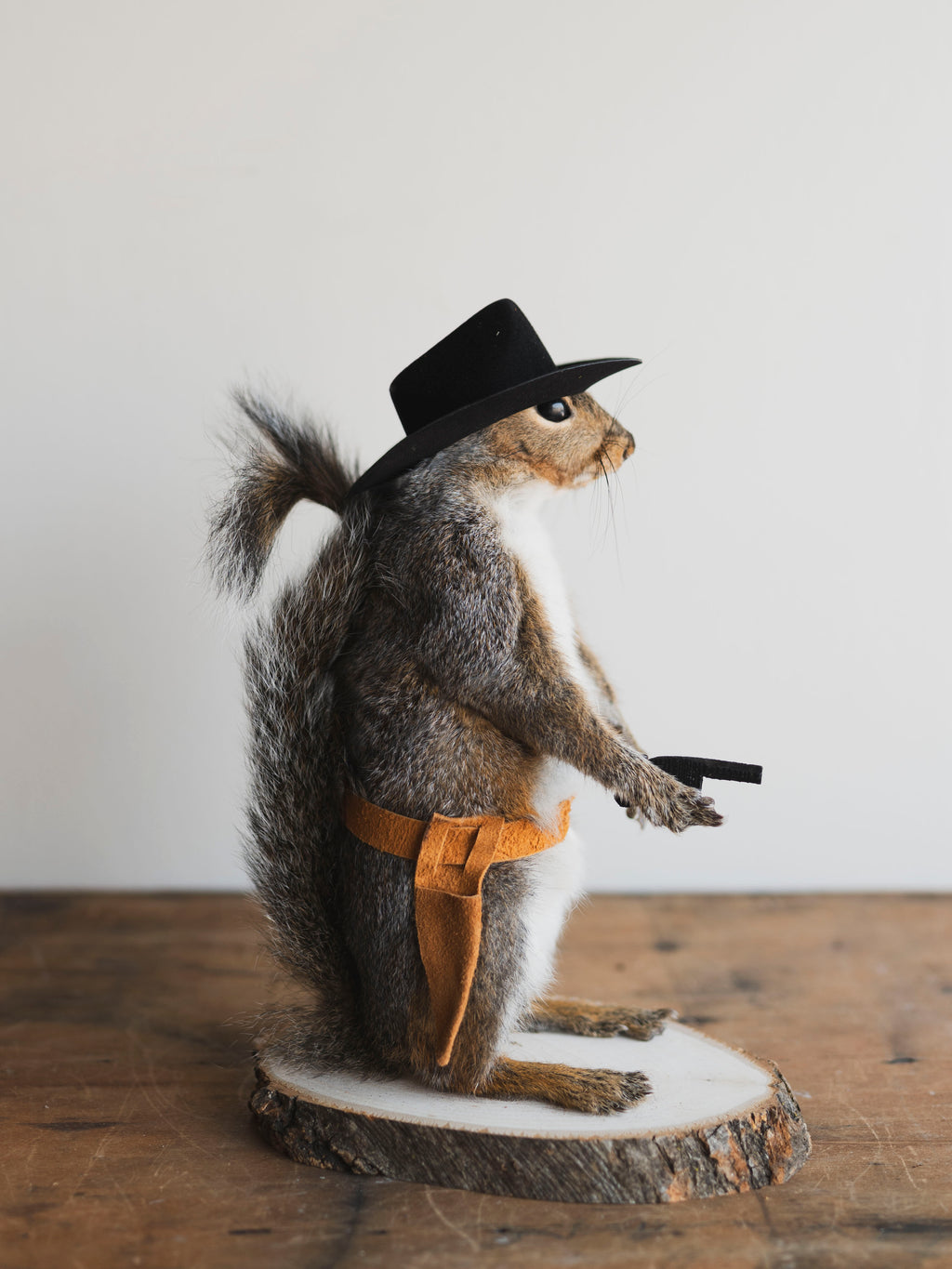 Cowboy Squirrel Taxidermy (Gomez), TA237