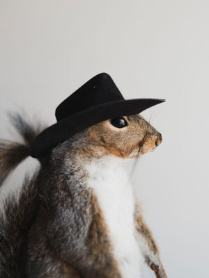 Cowboy Squirrel Taxidermy (Gomez), TA237