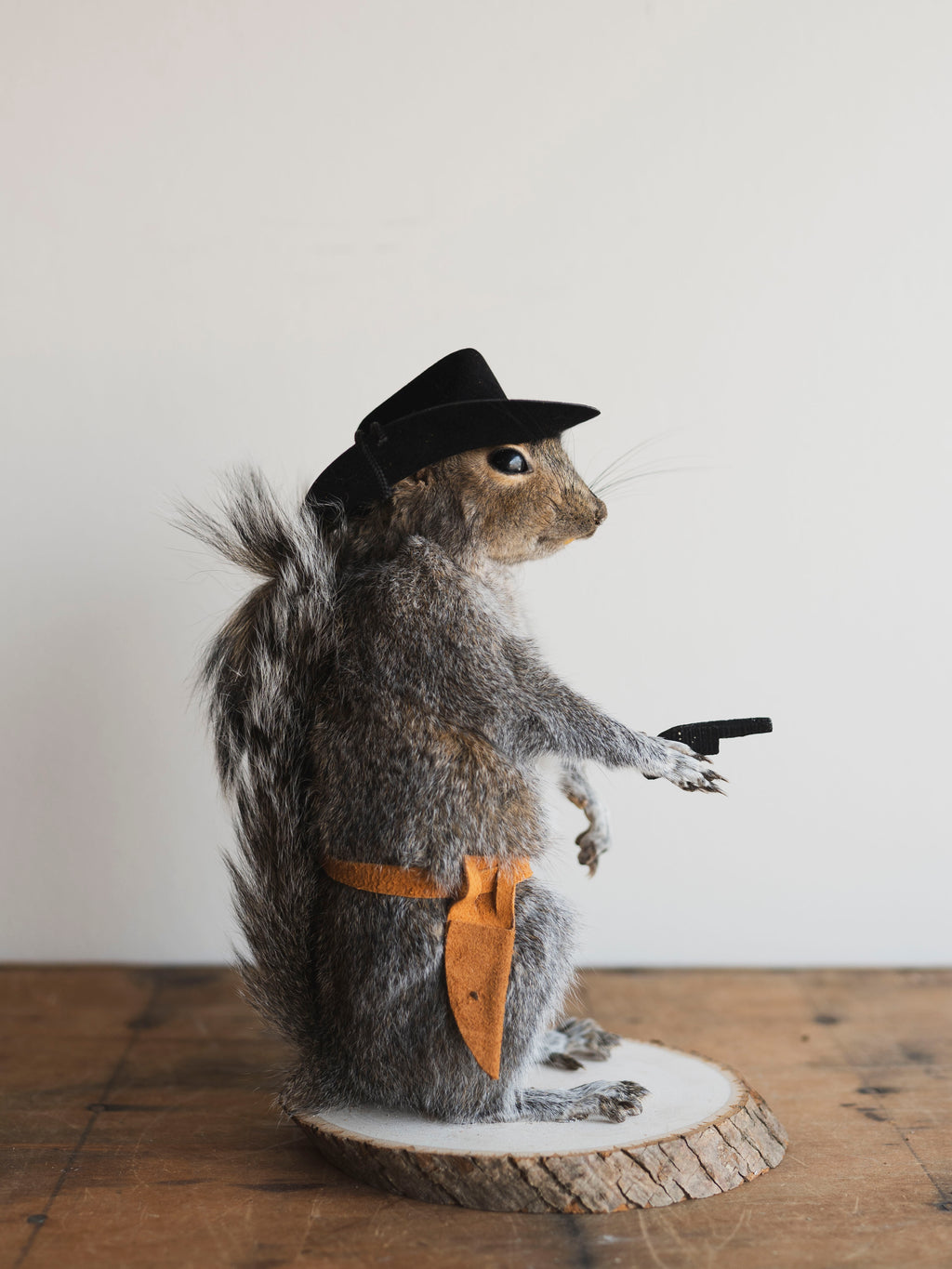 Cowboy Squirrel Taxidermy (Soda Pop), TA236