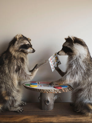 Raccoons Playing Poker Taxidermy (Poker Face), TA294