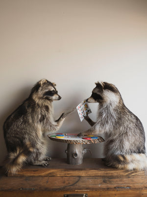 Raccoons Playing Poker Taxidermy (Poker Face), TA294