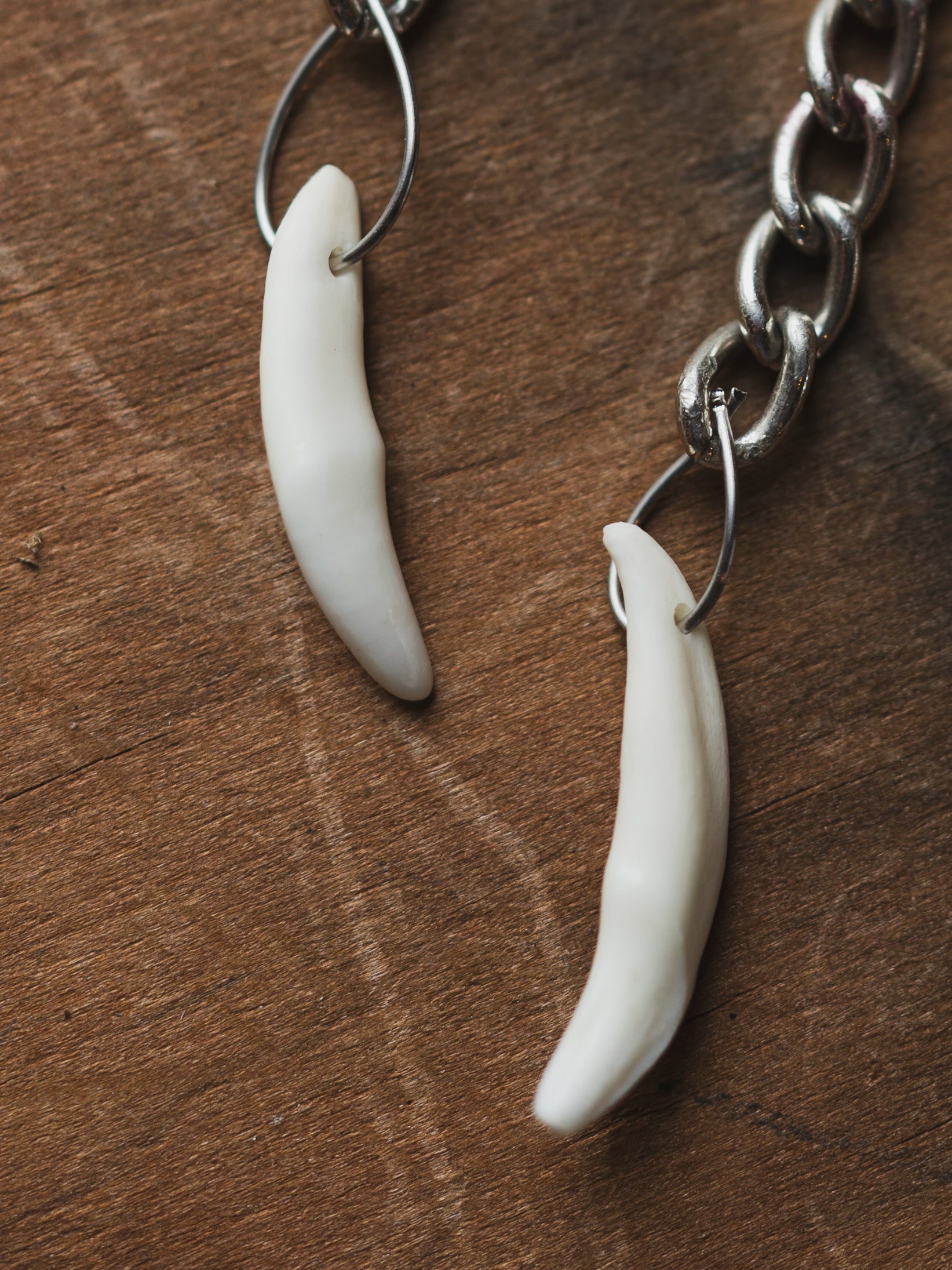 Silver Chain Coyote Tooth Earrings, CA218