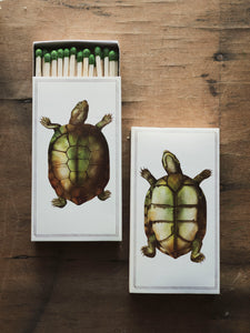 Large Turtle Matchbox, HD277 – Black Moth