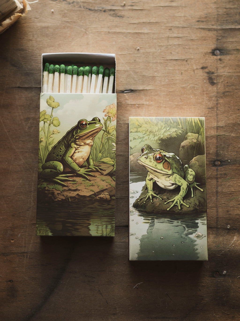 Large Frog Matchbox, HD254