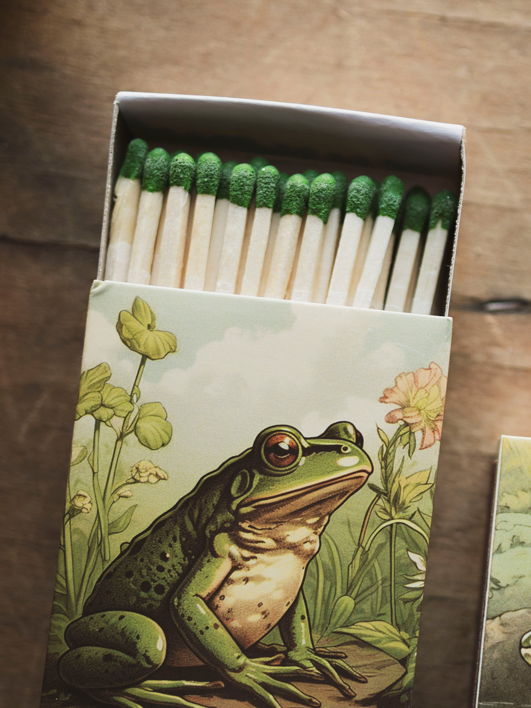 Large Frog Matchbox, HD254