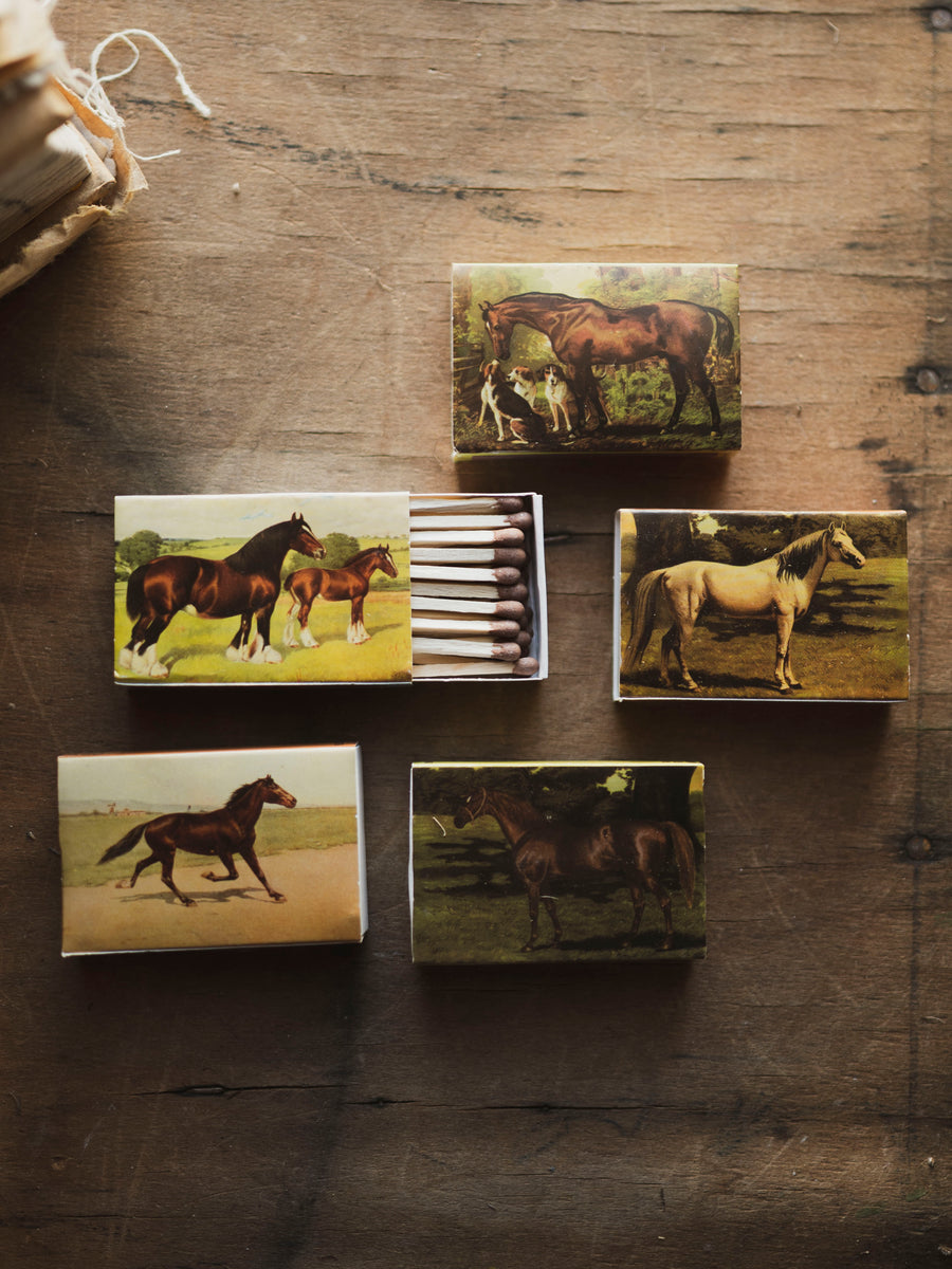 Assorted Horse Mini Matchbox, HD220 – Black Moth