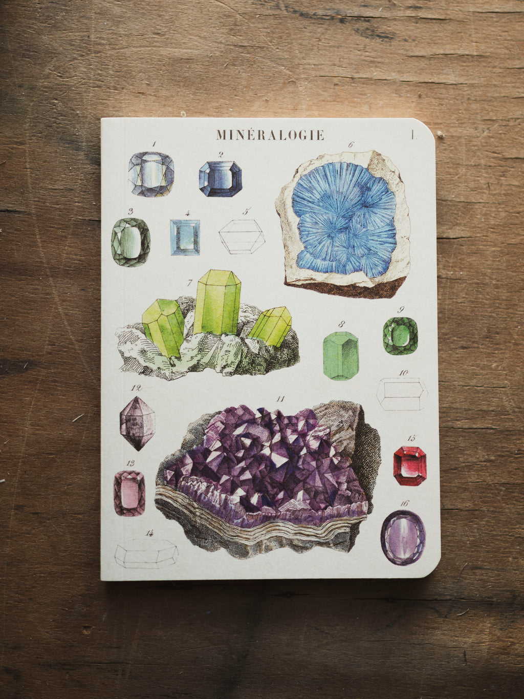 Lined Paper Mini Mineralogie Notebook, ST0107
