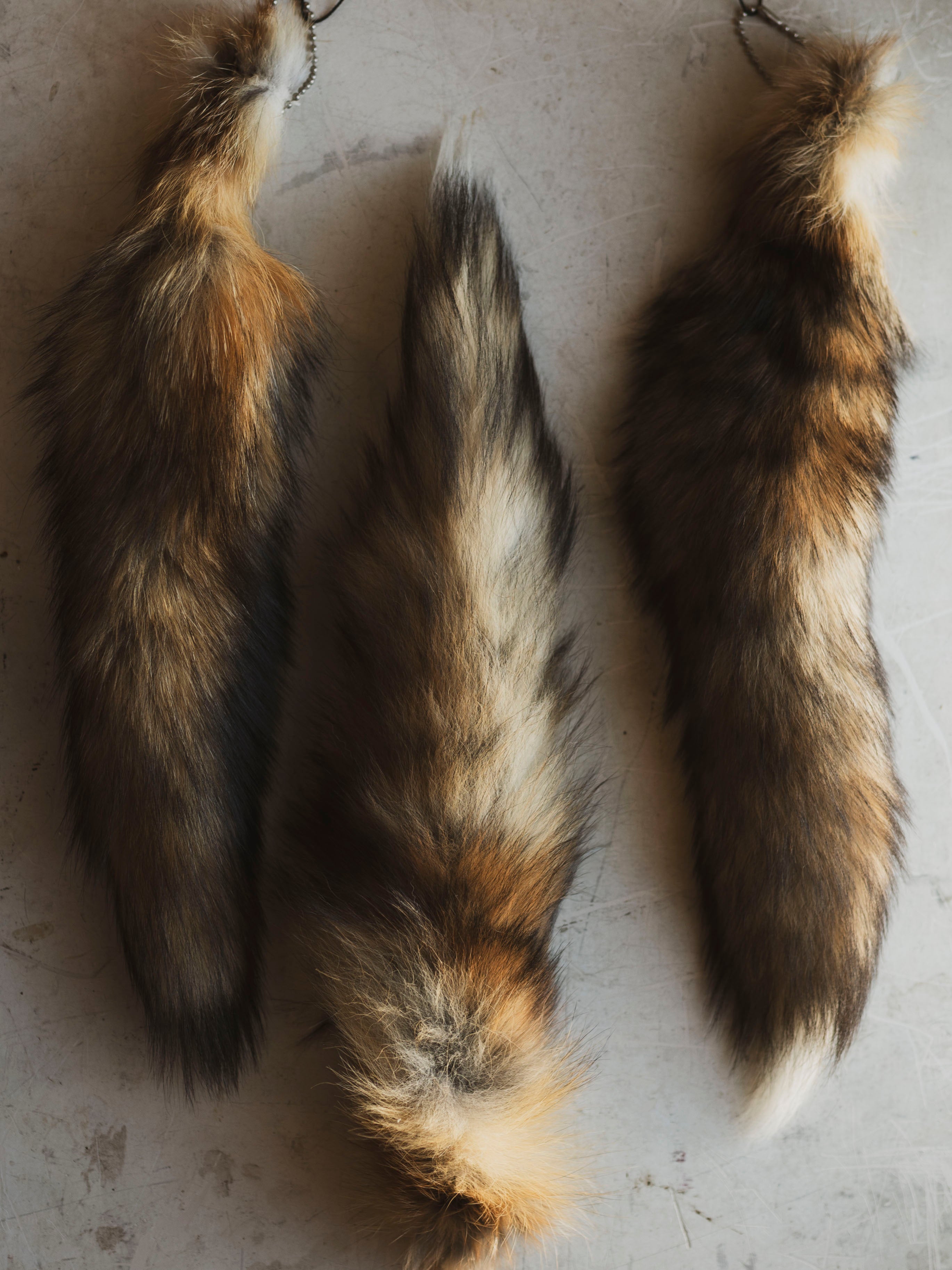 Red Fox Tail Keychain, CA54 – Black Moth