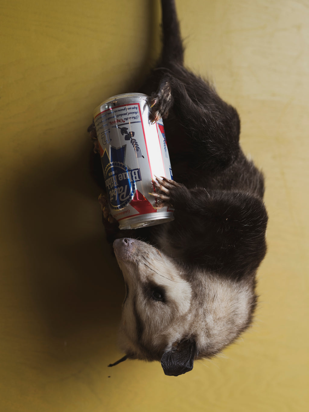 PBR Hanging Opossum (Otis), TA33