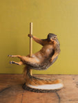 Stripper Squirrel Taxidermy (Ginger Spice), TA323