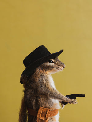 Cowboy Chipmunk Taxidermy (Colt), TA327