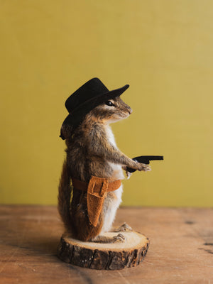 Cowboy Chipmunk Taxidermy (Colt), TA327