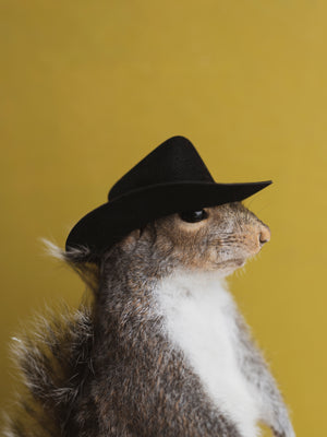 Cowboy Squirrel Taxidermy (Spoons), TA334